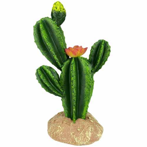 Komodo Flower Cactus Ornament | Pisces