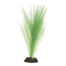 Underwater Treasures Green Hairgrass | Pisces