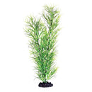 Underwater Treasures Green Diandra | Pisces