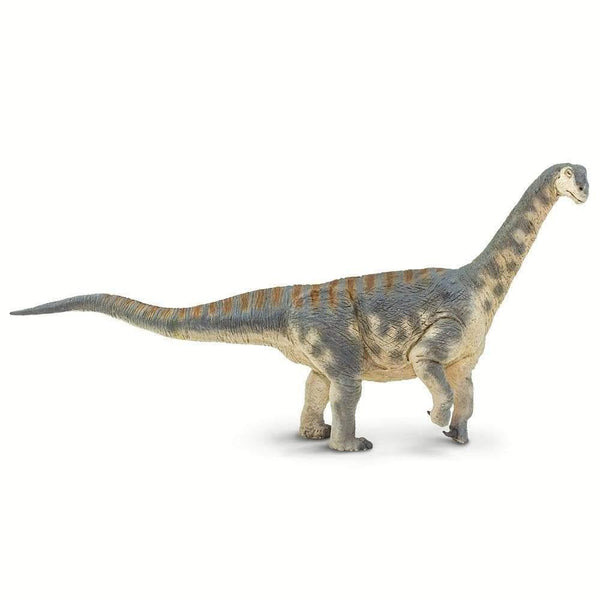 Safari Ltd. Camarasaurus Toy | Pisces