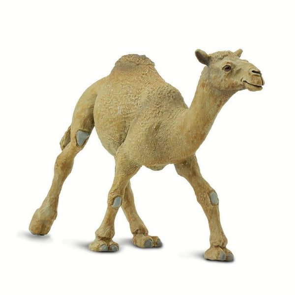 Safari Ltd. Dromedary Camel Toy | Pisces