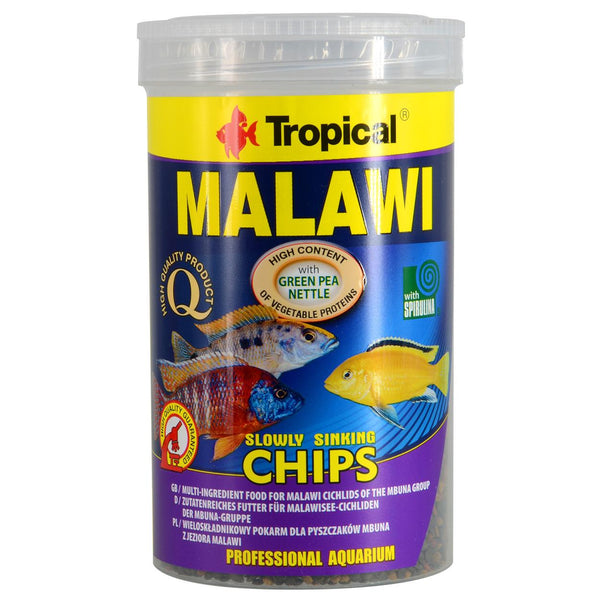 Tropical Malawi Slowly Sinking Chips | Pisces
