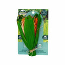 Oxbow Enriched Life Celebration Bouquet | Pisces