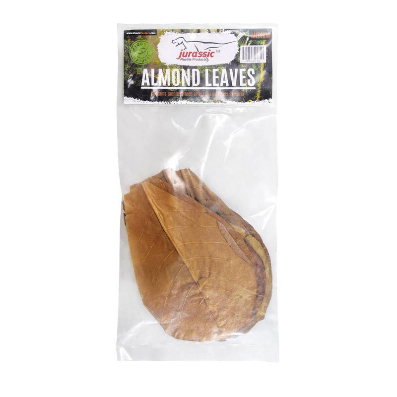Jurassic Reptile Products - Almond Leaf Litter - Pisces Pet Emporium